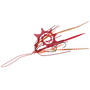 Hayabusa - Free Slide Hookset Dragon & Straight