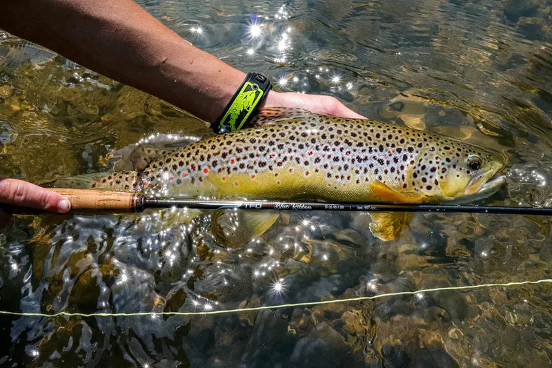 TFO - Blue Ribbon Series Fly Rod