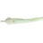 Lumo Glow Spot