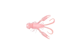 Jelly Prawn