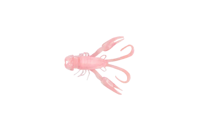 Jelly Prawn