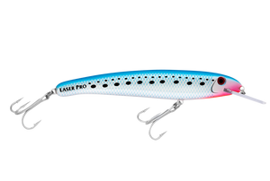 Pilchard